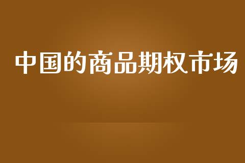 中国的商品期权市场_https://wap.ycdhulan.com_金融咨询_第1张