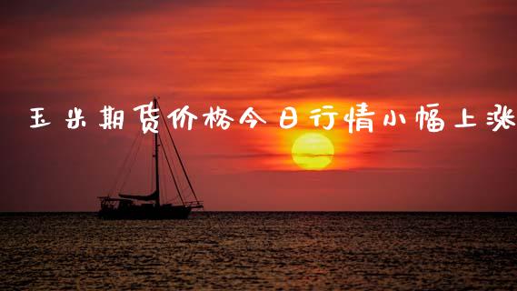 玉米期货价格今日行情小幅上涨_https://wap.ycdhulan.com_货币市场_第1张