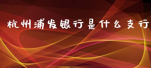 杭州浦发银行是什么支行_https://wap.ycdhulan.com_货币市场_第1张