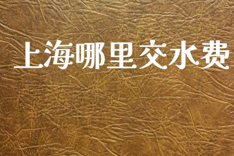 上海哪里交水费_https://wap.ycdhulan.com_国际财经_第1张