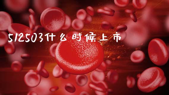 512503什么时候上市_https://wap.ycdhulan.com_国际财经_第1张