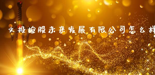 文投控股未来发展有限公司怎么样_https://wap.ycdhulan.com_货币市场_第1张