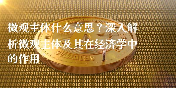 微观主体什么意思？深入解析微观主体及其在经济学中的作用_https://wap.ycdhulan.com_货币市场_第1张