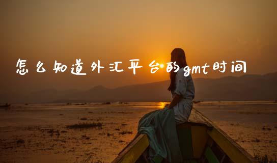 怎么知道外汇平台的gmt时间_https://wap.ycdhulan.com_财务投资_第1张