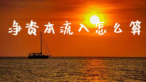 净资本流入怎么算_https://wap.ycdhulan.com_货币市场_第1张
