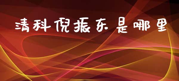 清科倪振东是哪里_https://wap.ycdhulan.com_财务投资_第1张