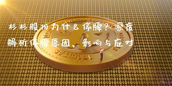 杉杉股份为什么停牌？深度解析停牌原因、影响与应对_https://wap.ycdhulan.com_投资基金_第1张