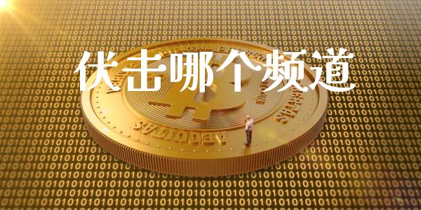 伏击哪个频道_https://wap.ycdhulan.com_国际财经_第1张