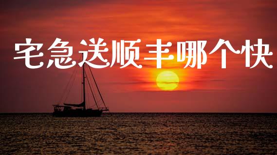 宅急送顺丰哪个快_https://wap.ycdhulan.com_投资基金_第1张