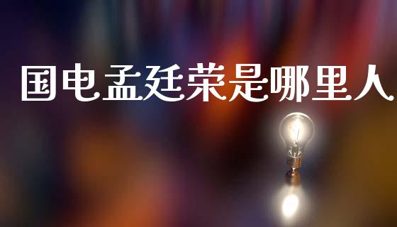 国电孟廷荣是哪里人_https://wap.ycdhulan.com_财务投资_第1张