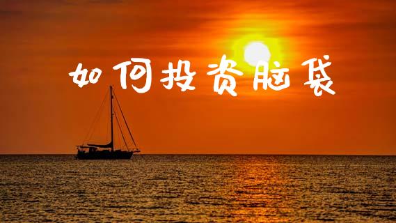 如何投资脑袋_https://wap.ycdhulan.com_国际财经_第1张