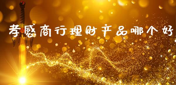 孝感商行理财产品哪个好_https://wap.ycdhulan.com_货币市场_第1张