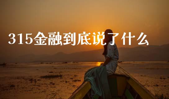 315金融到底说了什么_https://wap.ycdhulan.com_货币市场_第1张