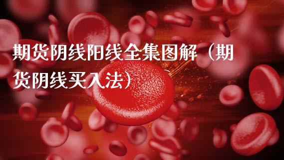 期货阴线阳线全集图解（期货阴线买入法）_https://wap.ycdhulan.com_财经新闻_第1张