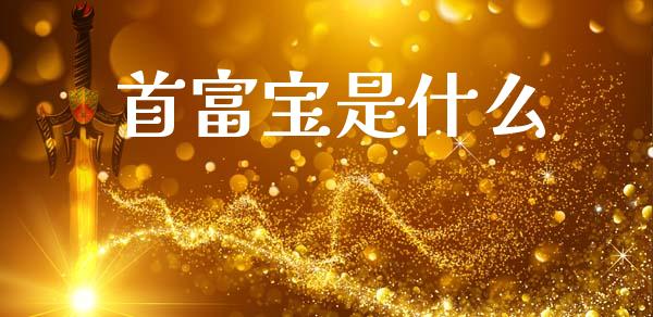 首富宝是什么_https://wap.ycdhulan.com_投资基金_第1张