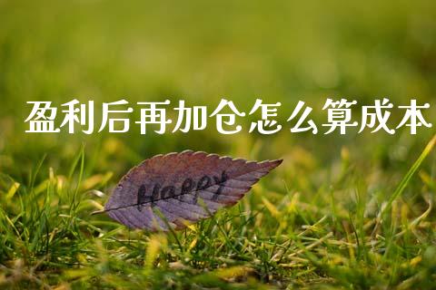 盈利后再加仓怎么算成本_https://wap.ycdhulan.com_财务投资_第1张