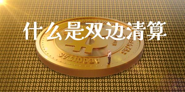什么是双边清算_https://wap.ycdhulan.com_财经新闻_第1张