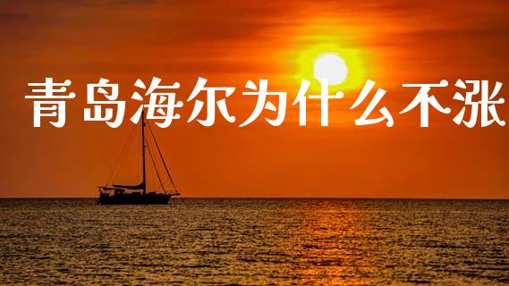 青岛海尔为什么不涨_https://wap.ycdhulan.com_国际财经_第1张