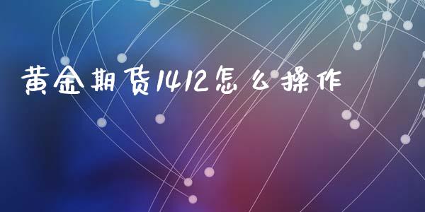 黄金期货1412怎么操作_https://wap.ycdhulan.com_投资基金_第1张