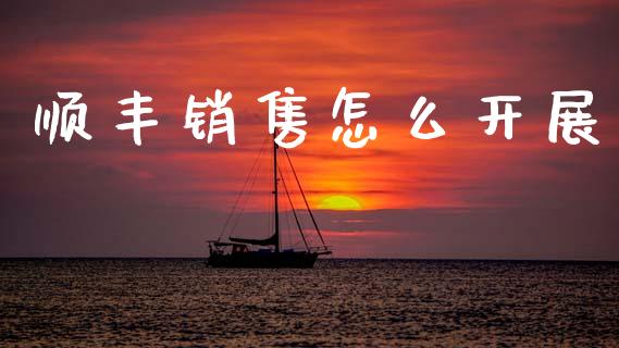 顺丰销售怎么开展_https://wap.ycdhulan.com_投资基金_第1张