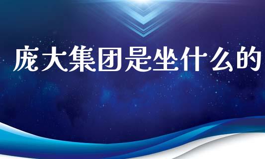 庞大集团是坐什么的_https://wap.ycdhulan.com_财务投资_第1张