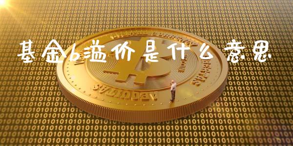 基金b溢价是什么意思_https://wap.ycdhulan.com_财务投资_第1张