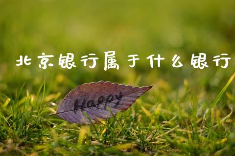 北京银行属于什么银行_https://wap.ycdhulan.com_国际财经_第1张