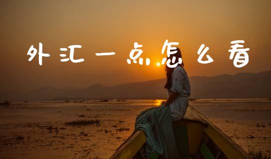 外汇一点怎么看_https://wap.ycdhulan.com_财务投资_第1张