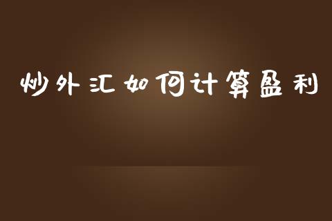 炒外汇如何计算盈利_https://wap.ycdhulan.com_财经新闻_第1张