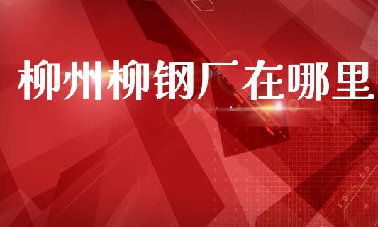 柳州柳钢厂在哪里_https://wap.ycdhulan.com_财经新闻_第1张