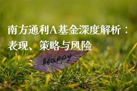 南方通利A基金深度解析：表现、策略与风险_https://wap.ycdhulan.com_投资基金_第1张