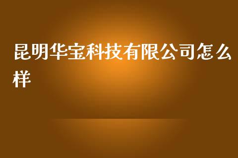 昆明华宝科技有限公司怎么样_https://wap.ycdhulan.com_投资基金_第1张