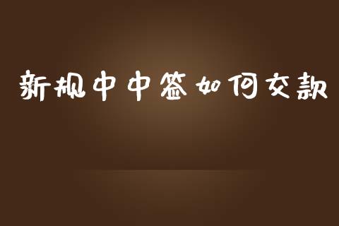 新规中中签如何交款_https://wap.ycdhulan.com_货币市场_第1张