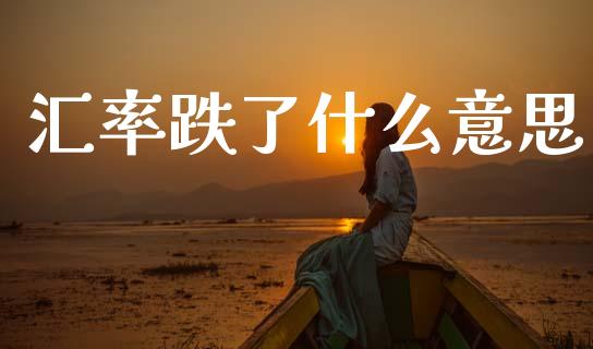 汇率跌了什么意思_https://wap.ycdhulan.com_投资基金_第1张