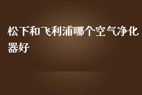 松下和飞利浦哪个空气净化器好_https://wap.ycdhulan.com_财经新闻_第1张
