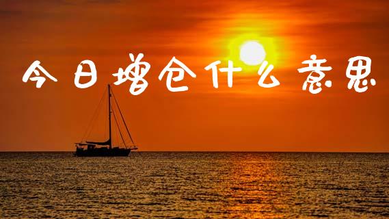 今日增仓什么意思_https://wap.ycdhulan.com_财经新闻_第1张