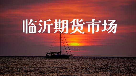 临沂期货市场_https://wap.ycdhulan.com_投资基金_第1张