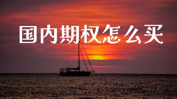 国内期权怎么买_https://wap.ycdhulan.com_货币市场_第1张
