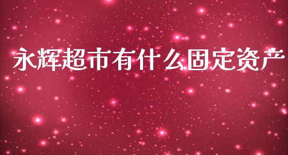 永辉超市有什么固定资产_https://wap.ycdhulan.com_货币市场_第1张
