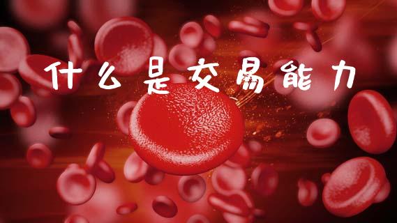什么是交易能力_https://wap.ycdhulan.com_货币市场_第1张