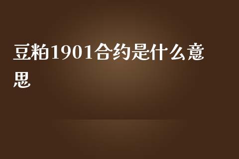 豆粕1901合约是什么意思_https://wap.ycdhulan.com_财经新闻_第1张