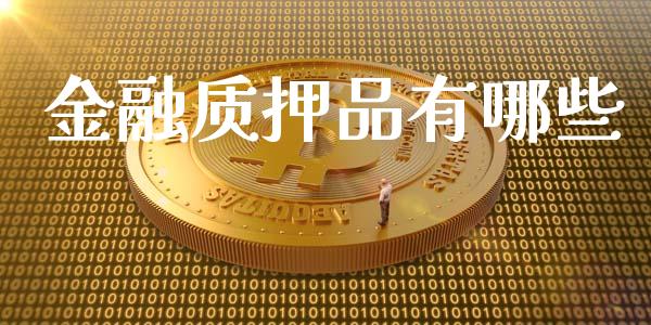 金融质押品有哪些_https://wap.ycdhulan.com_投资基金_第1张