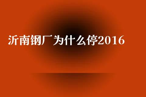 沂南钢厂为什么停2016_https://wap.ycdhulan.com_投资基金_第1张