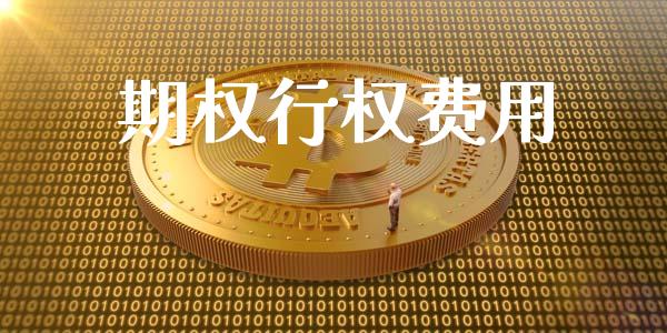 期权行权费用_https://wap.ycdhulan.com_财经新闻_第1张