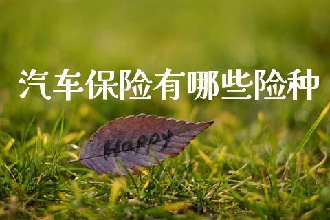 汽车保险有哪些险种_https://wap.ycdhulan.com_货币市场_第1张