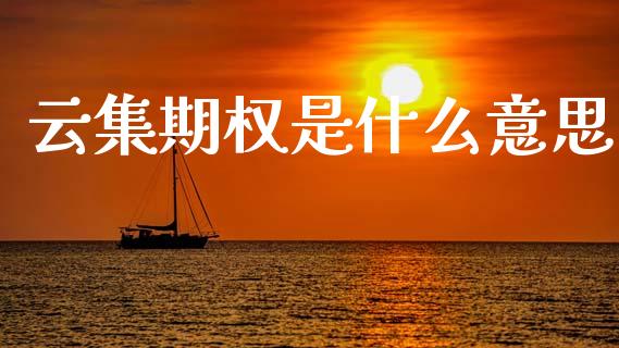 云集期权是什么意思_https://wap.ycdhulan.com_货币市场_第1张