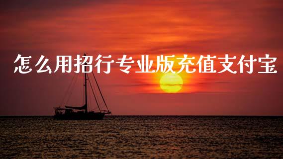 怎么用招行专业版充值支付宝_https://wap.ycdhulan.com_货币市场_第1张