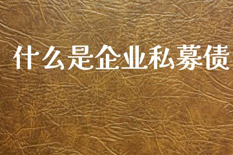 什么是企业私募债_https://wap.ycdhulan.com_财经新闻_第1张