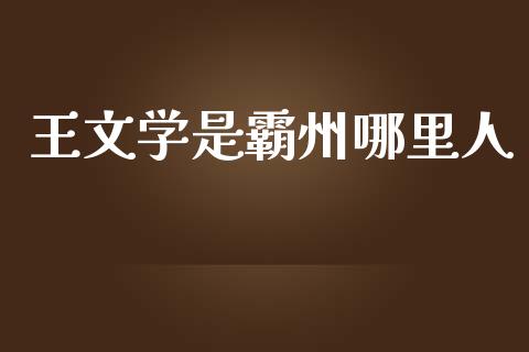 王文学是霸州哪里人_https://wap.ycdhulan.com_金融咨询_第1张