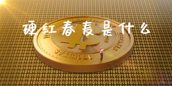 硬红春麦是什么_https://wap.ycdhulan.com_财务投资_第1张